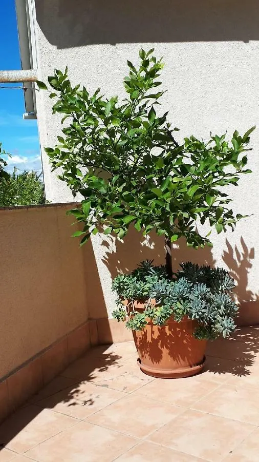 Palm Bibinje Villa