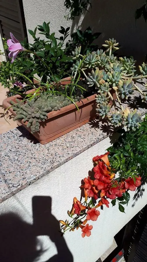 Palm Bibinje Villa Tatil Evi